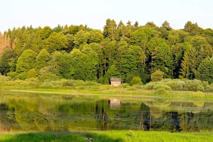 Ferienhaus Mauer Krombachtalsperre, Exclusive Nebenkosten Strom Driedorf Eksteriør bilde